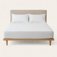 Fitted Sheet – Cotton Plain – Ivory Cream