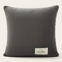 Pillow Cover – Velvet Plush Smooth – Pearl Grey