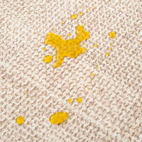 Rug – Plain Weave Bordered – Bouclé Sand