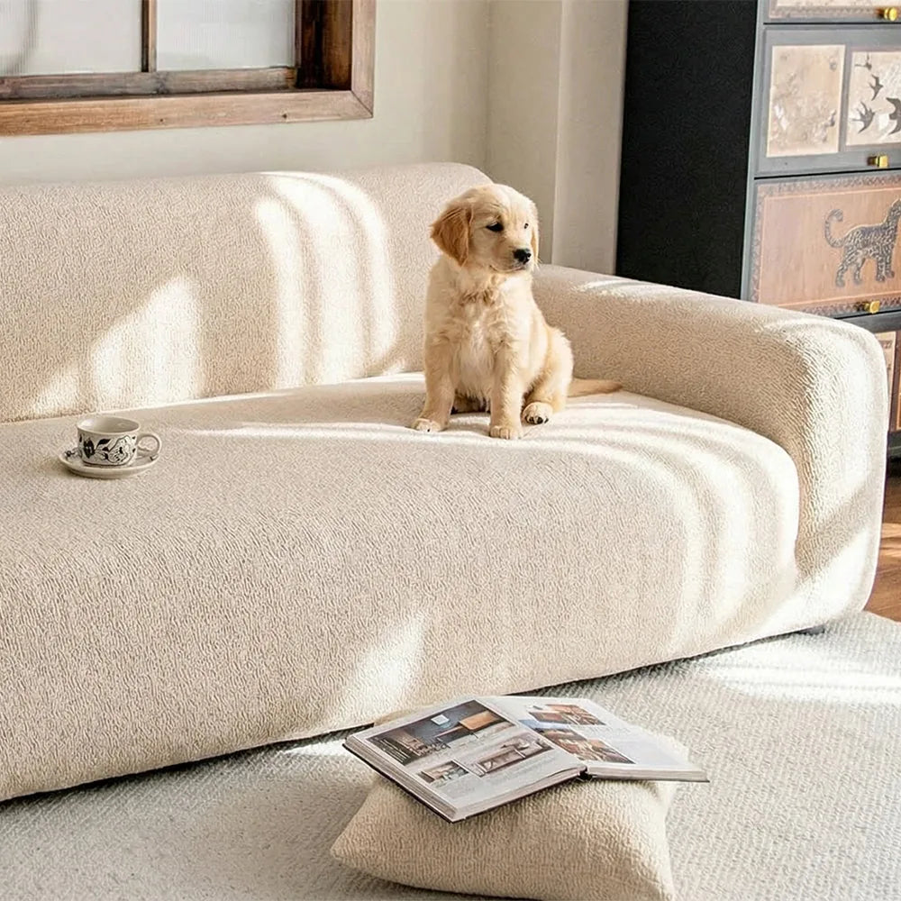 Cream beige knit sofa cover in a sunlit room with a golden puppy resting on the seat