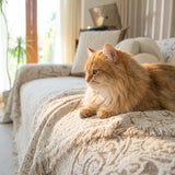 Ginger cat perched on the fringed corner of the cream latte Luxe Heritage throw in warm sunlight